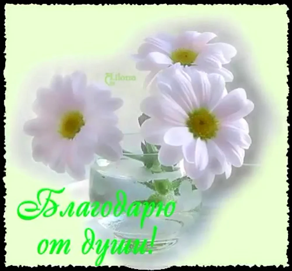 От души благодарю