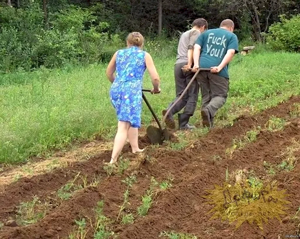 Пахать огород