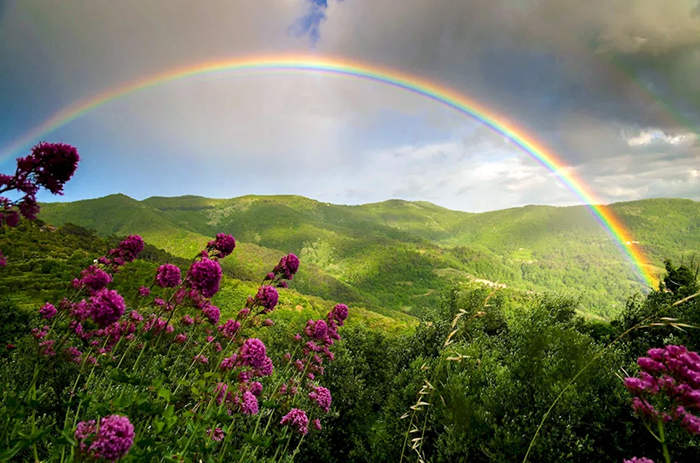 Пейзаж с радугой Роберт Данкансон