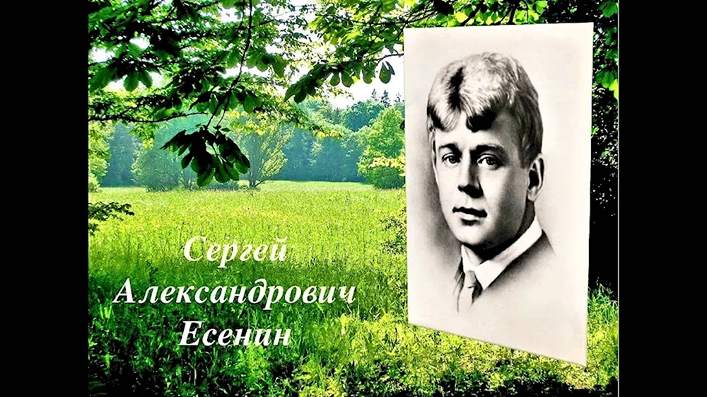 Покинул дом родной Сергей Есенин я родимый