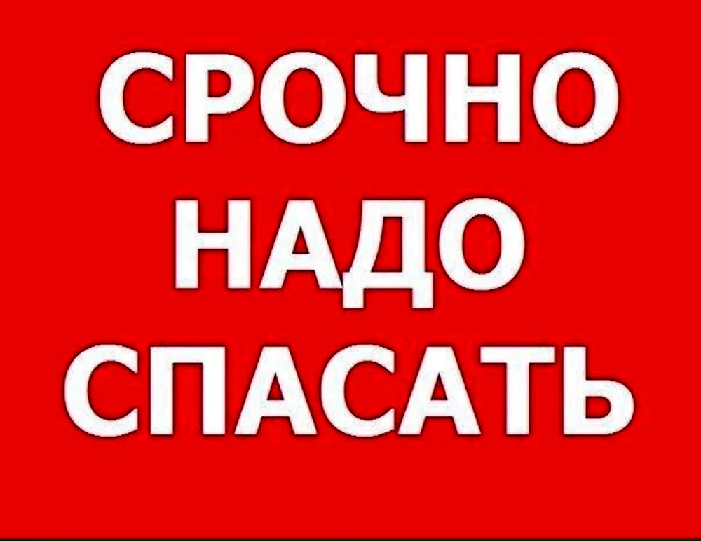 Помогите спасти