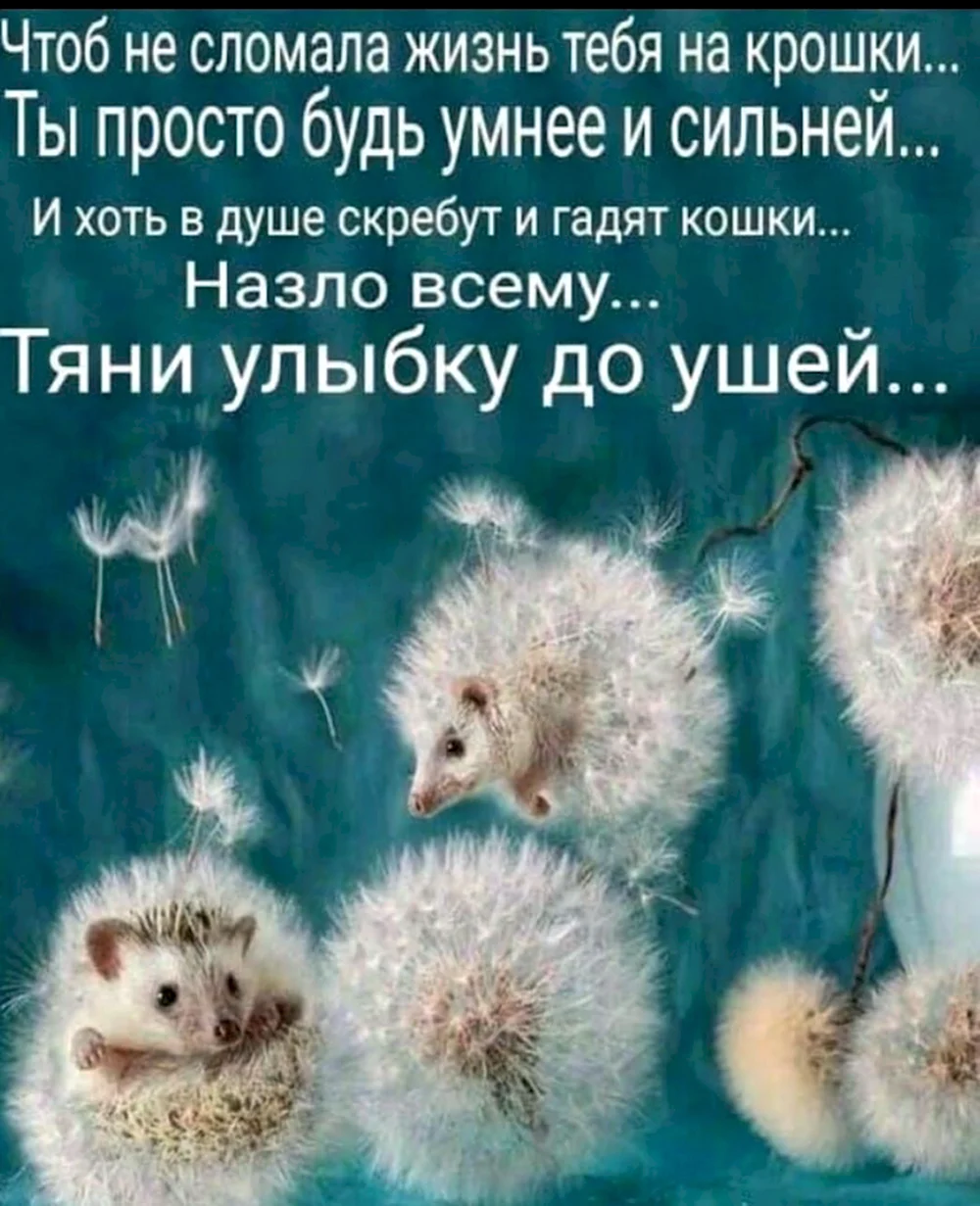 Позитивные фразы