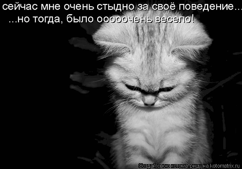 Не скажешь обижусь. Мне очень стыдно за свое поведение. Грустные котики с надписями. Котенок прости. Открытка мне стыдно.