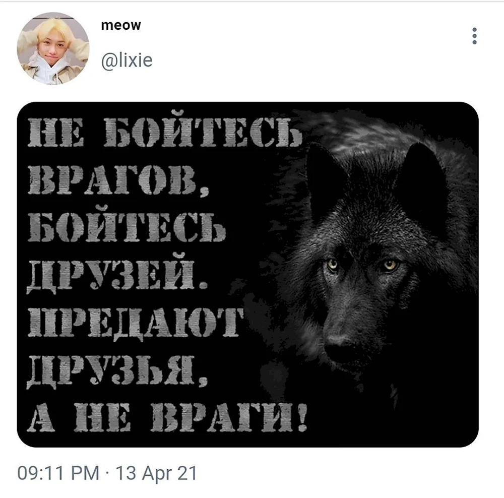 Предательство друга