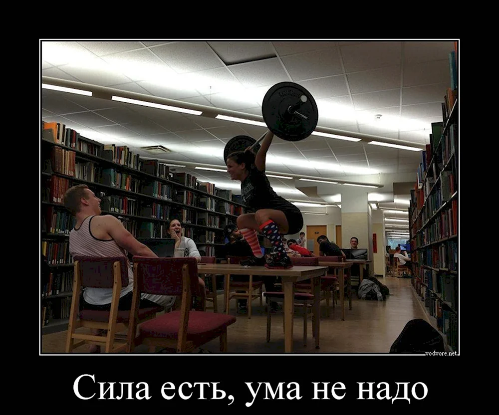 Приколы про библиотеку