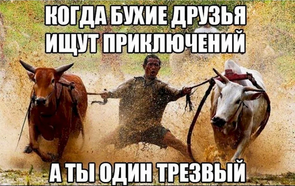 Приколы про друзей