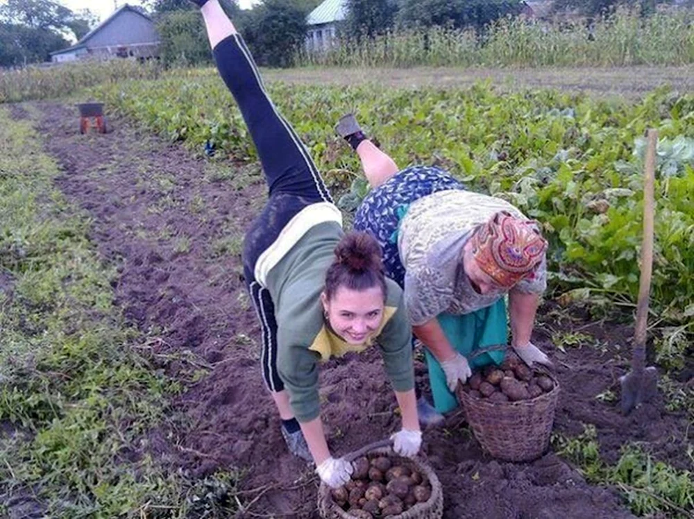 Смешные картинки про дачу и огород. Приколы про огород. Дачник на огороде. Фотосессия в огороде.