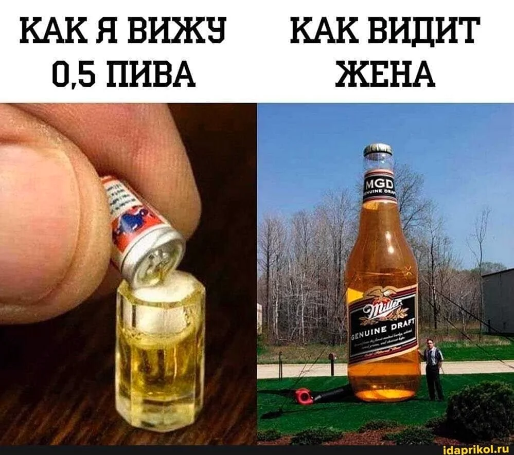 Приколы про пиво