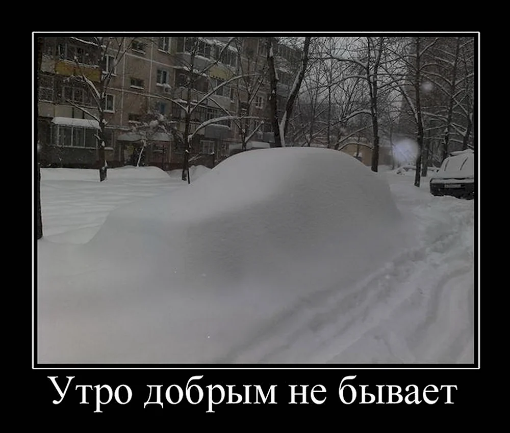 Приколы про снег