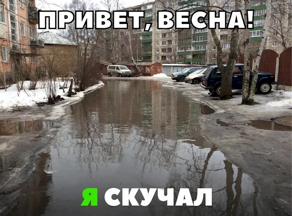 Приколы про весну