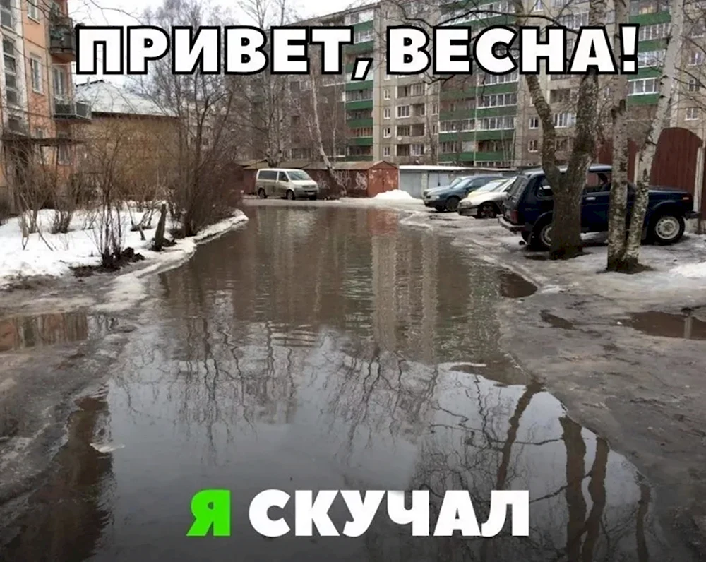 Приколы про весну