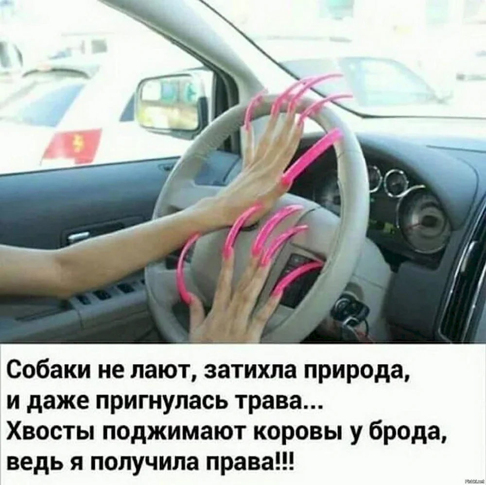 Приколы про вождение женщин