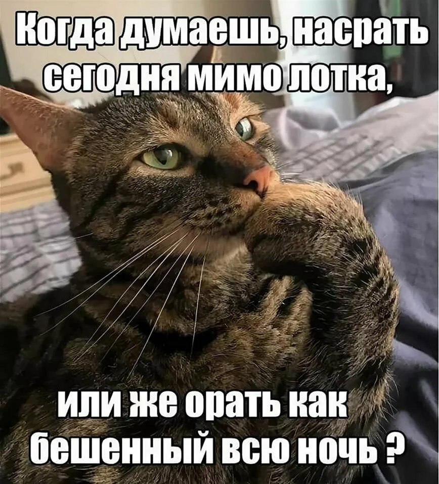 Приколы с надписями