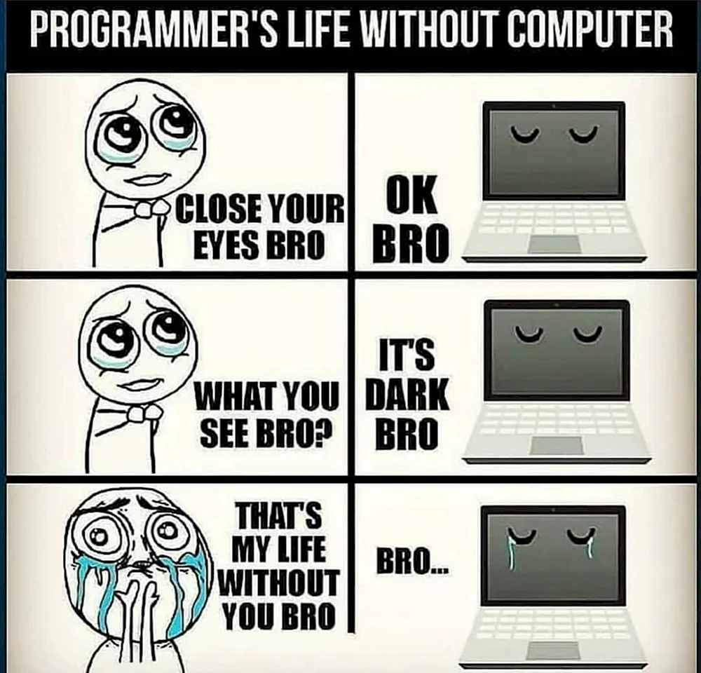 Programmer memes