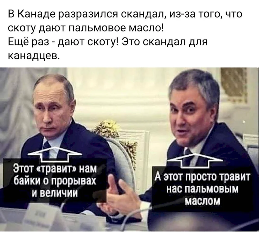 Путин и Володин о пальмовом масле