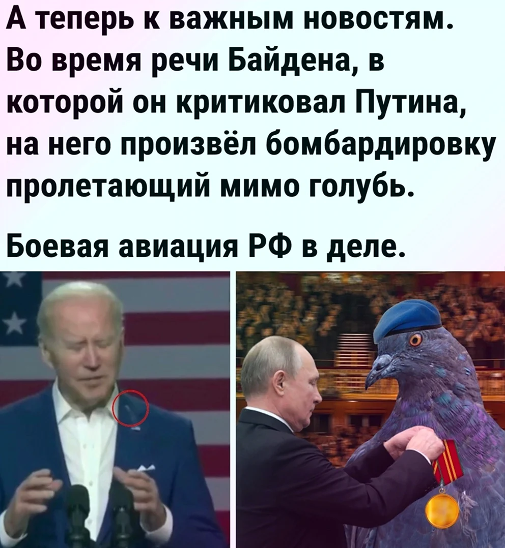 Путин награждает голубя