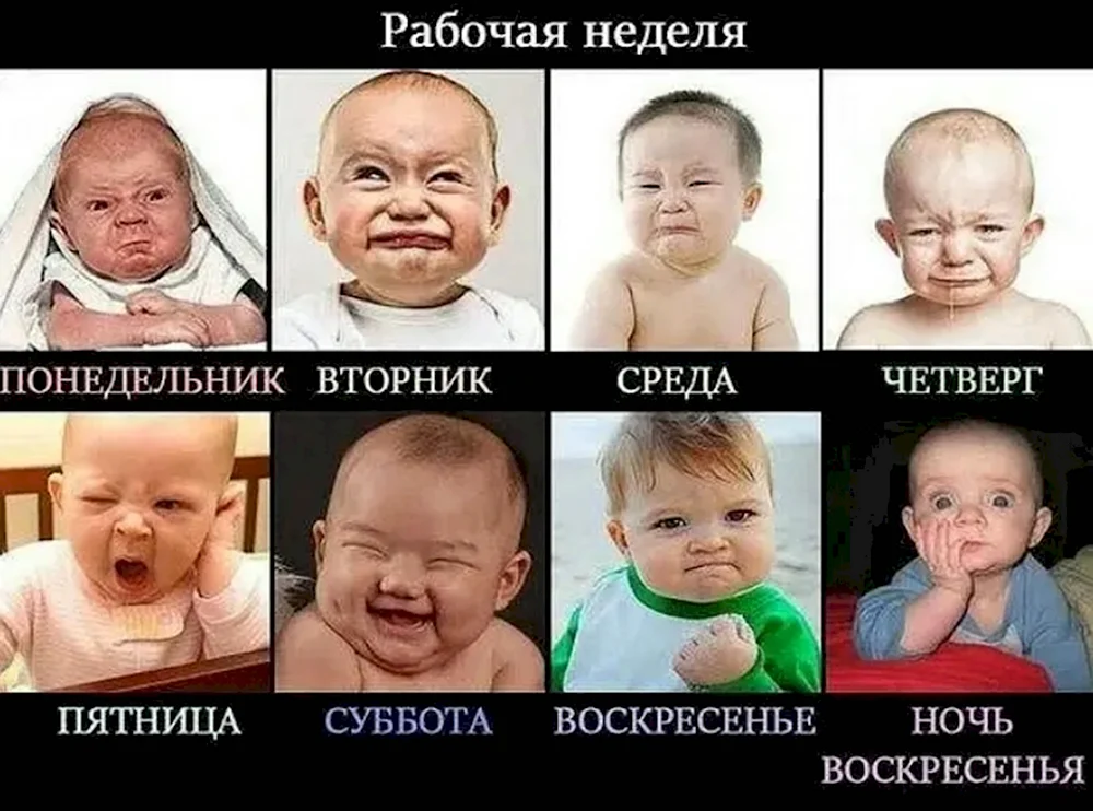 Рабочая неделя