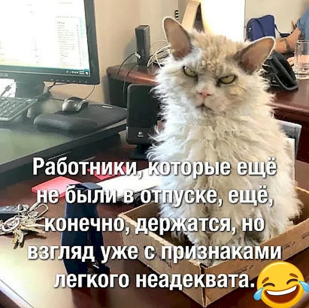 Работники которые еще не были в отпуске