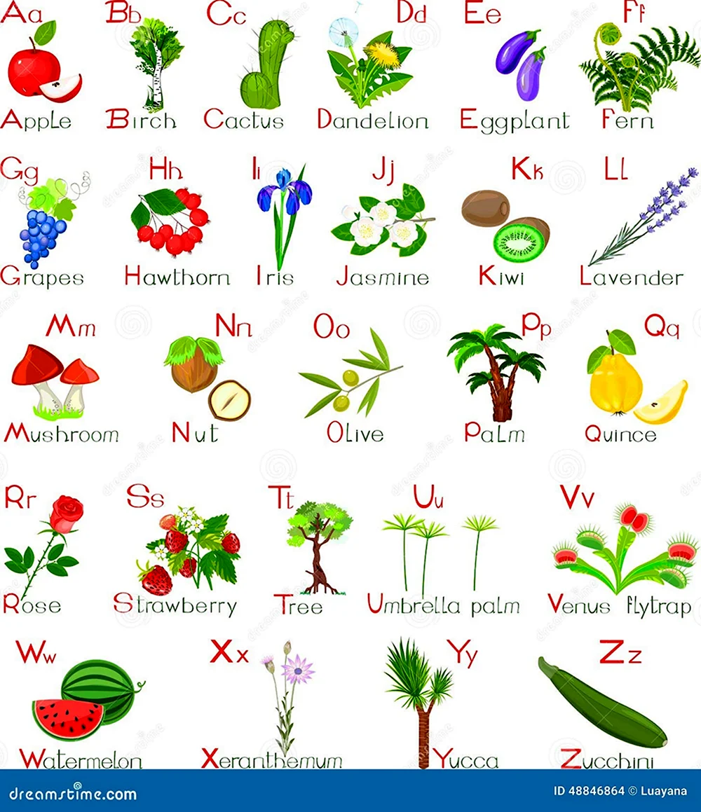 Растения по алфавиту по алфавиту