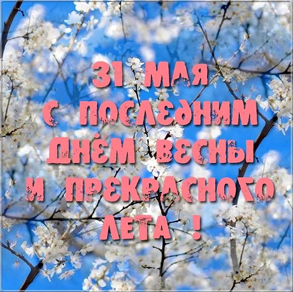 С последним днем весны. Открытки с последним днем весны. Пожелания с последним днем весны.