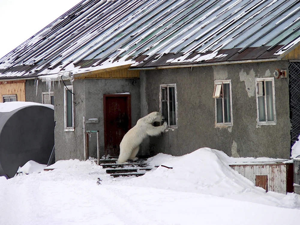 Сань Открой я замерз