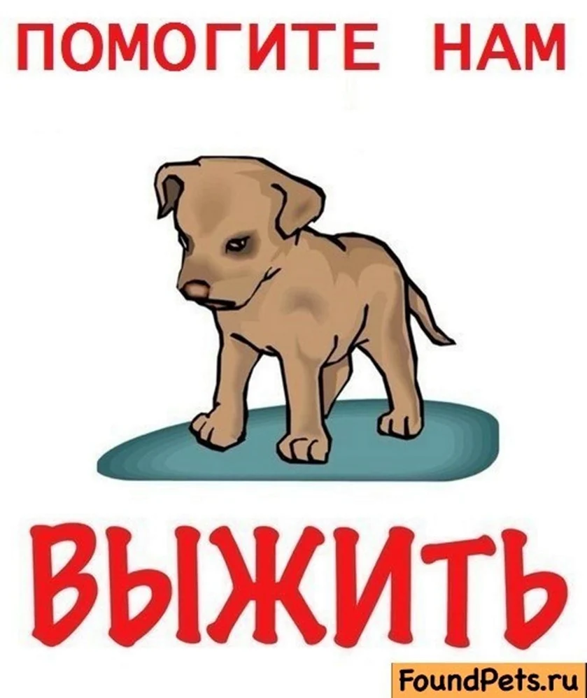 Щенкам нужна помощь