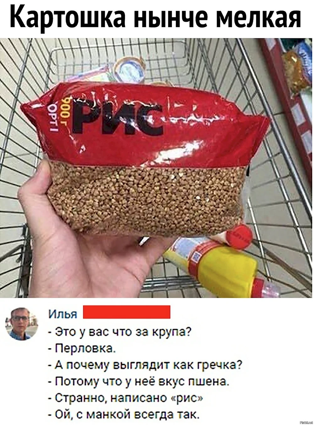 Шутки про гречку