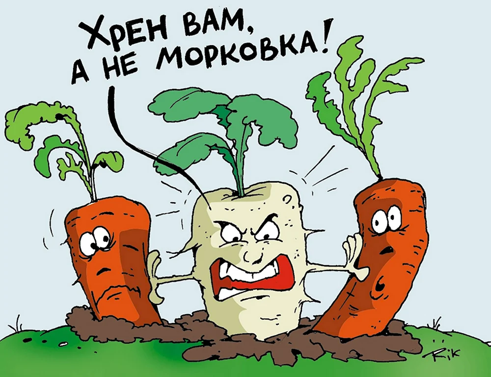 Шутки про морковку