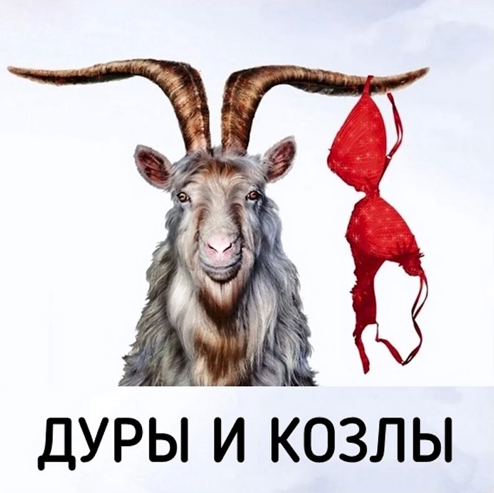 Сидорова коза