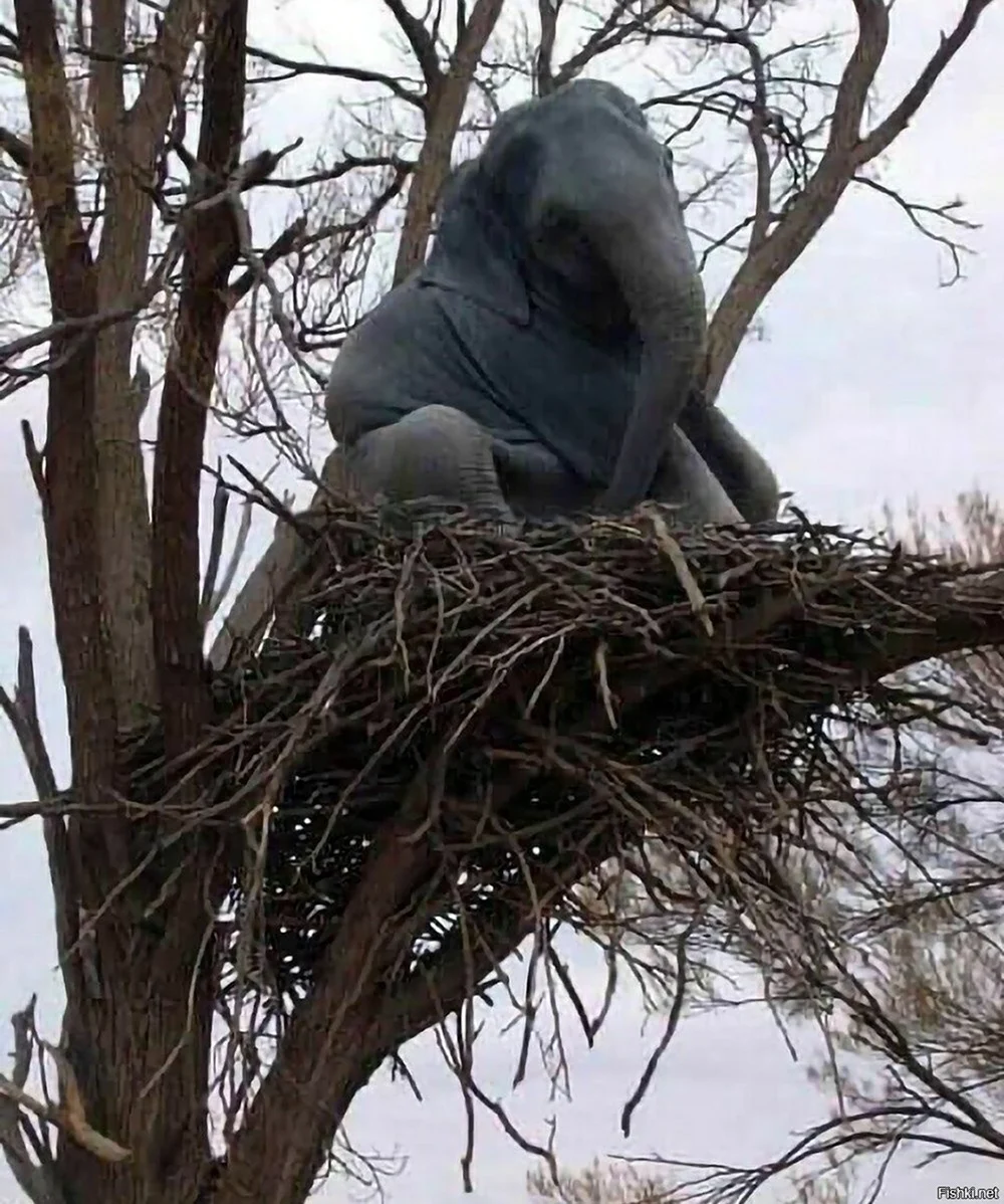 Слон дерево