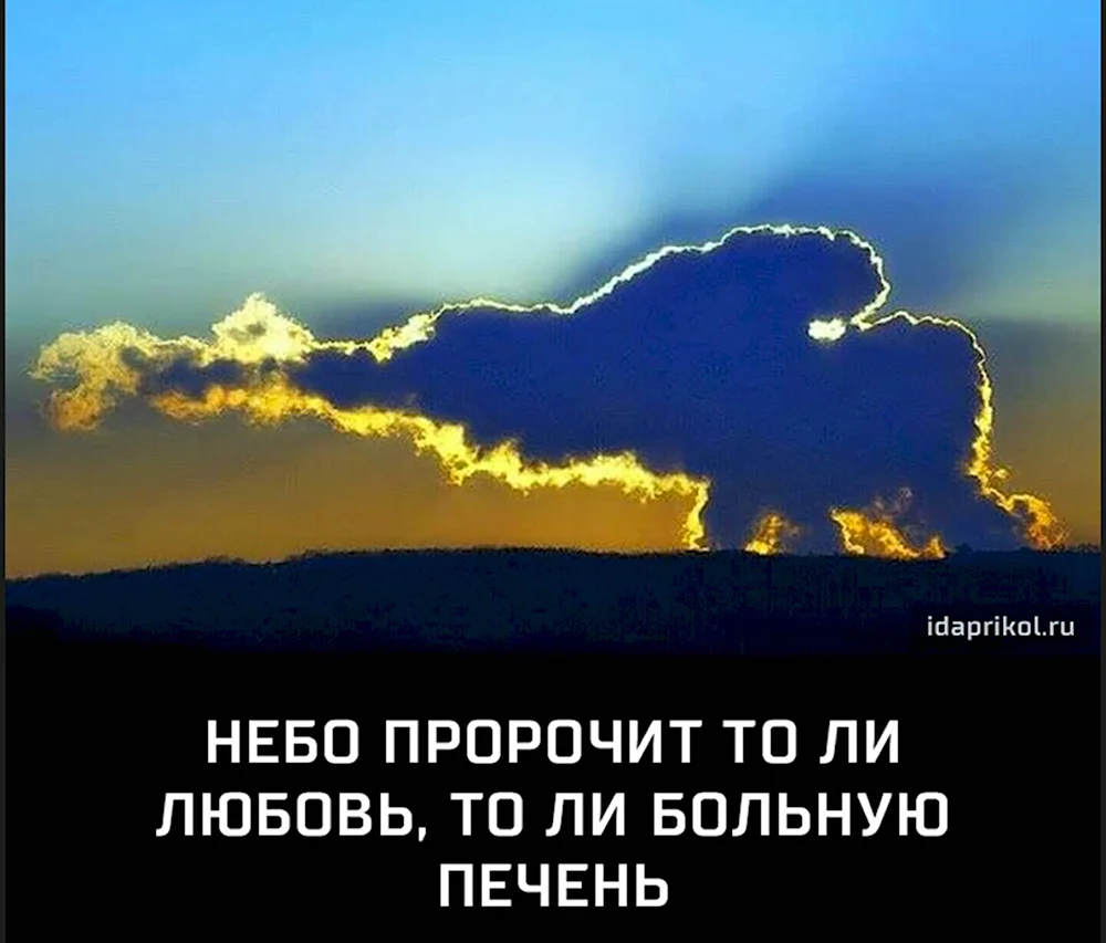 Слон в облаках