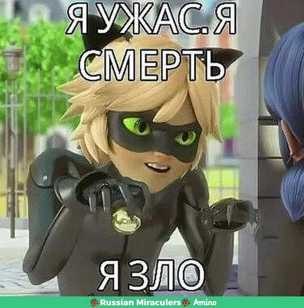 Смешной супер кот