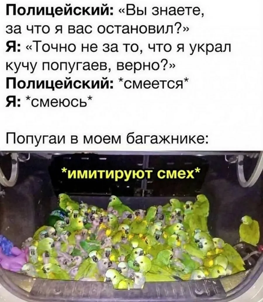 Смешные картинки до слёз