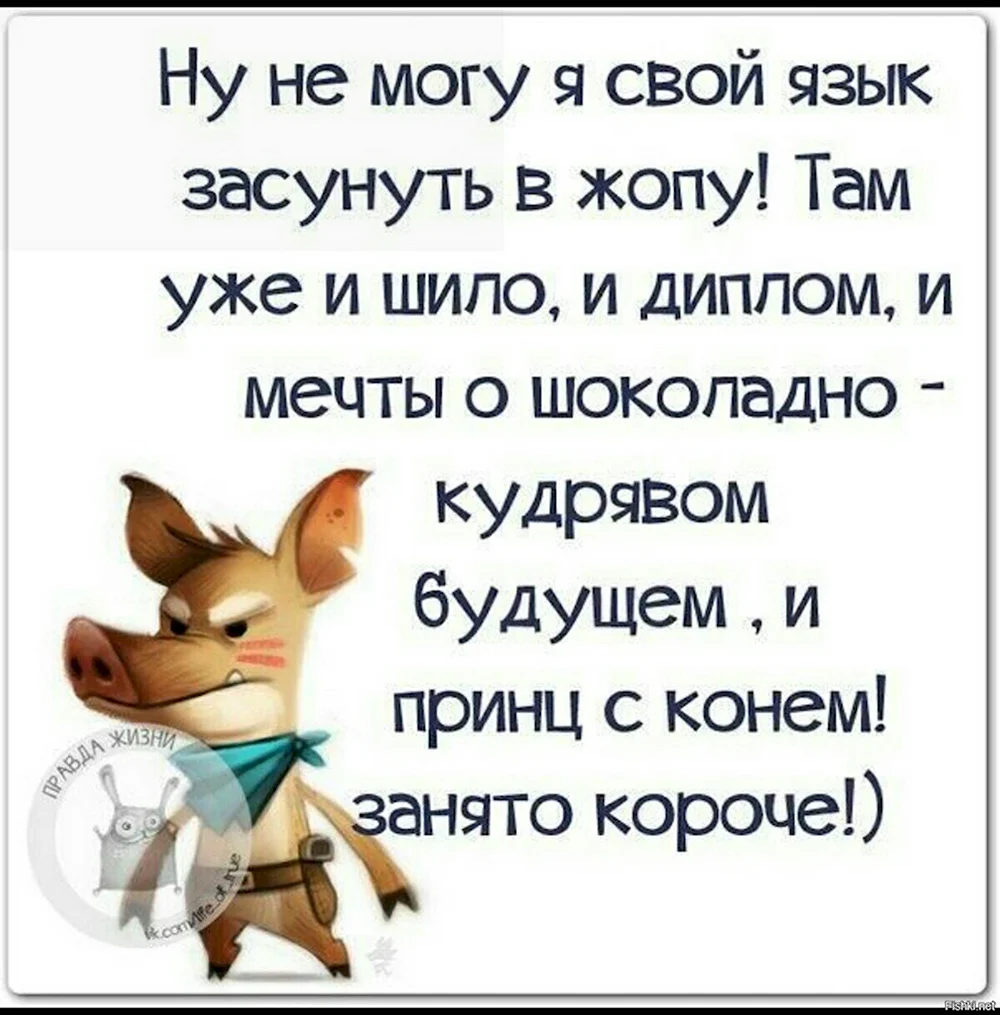 Смешные цитаты