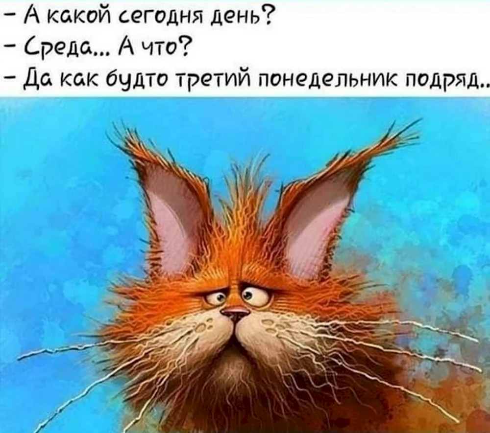 Со средой прикольные смешные