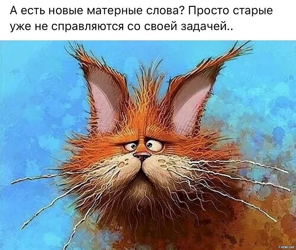 Со средой прикольные смешные