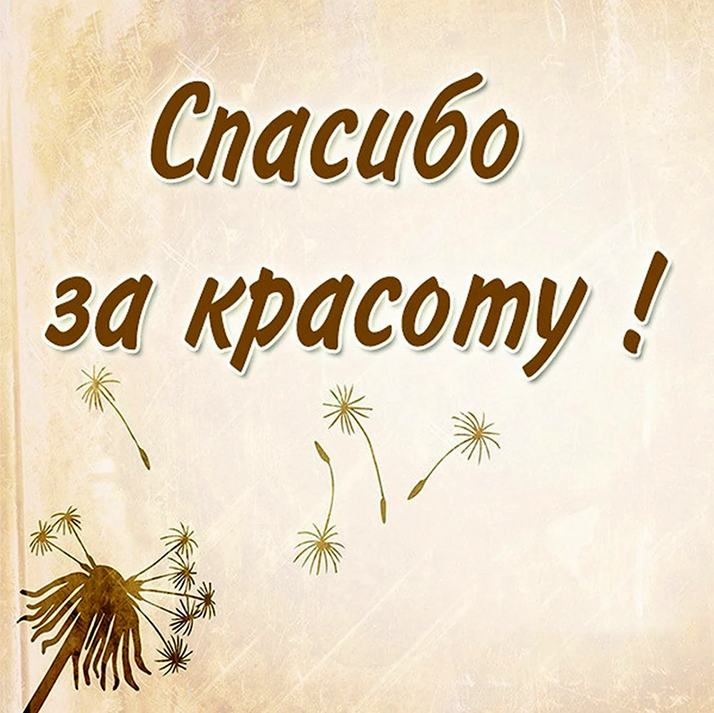 Слова благодарности классному руководителю от родителей: в прозе и стихах, своими словами