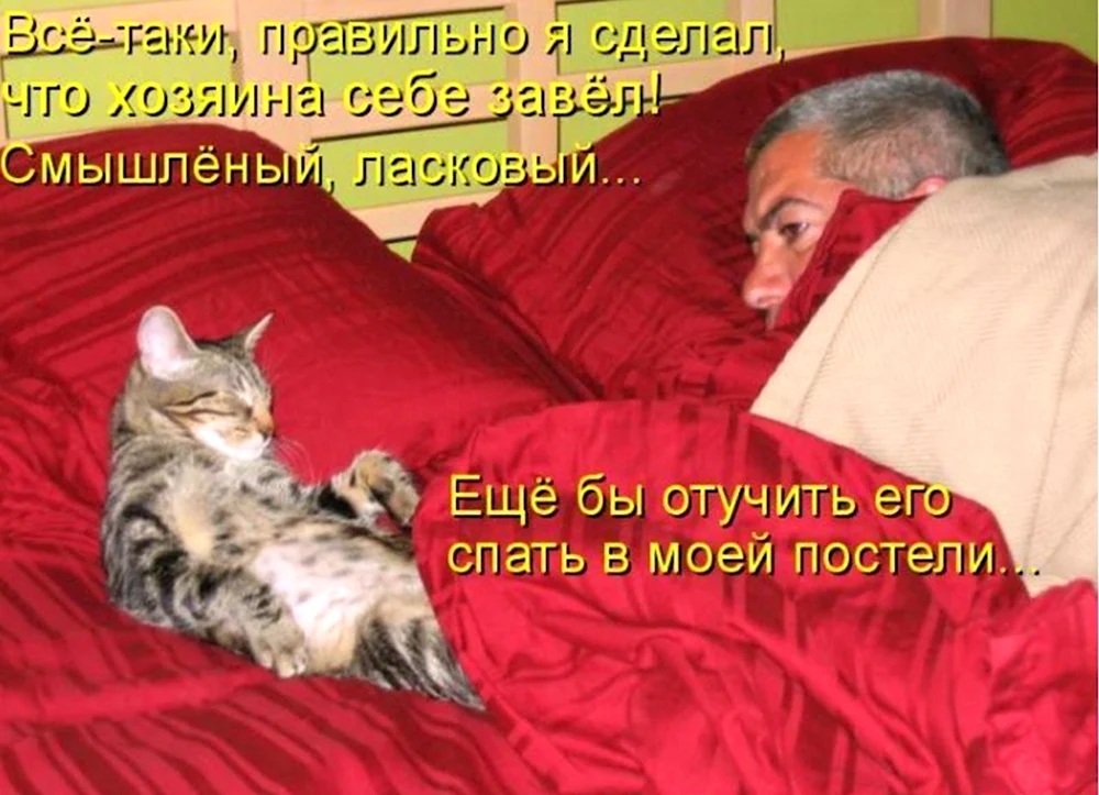 Спящий котик с надписью