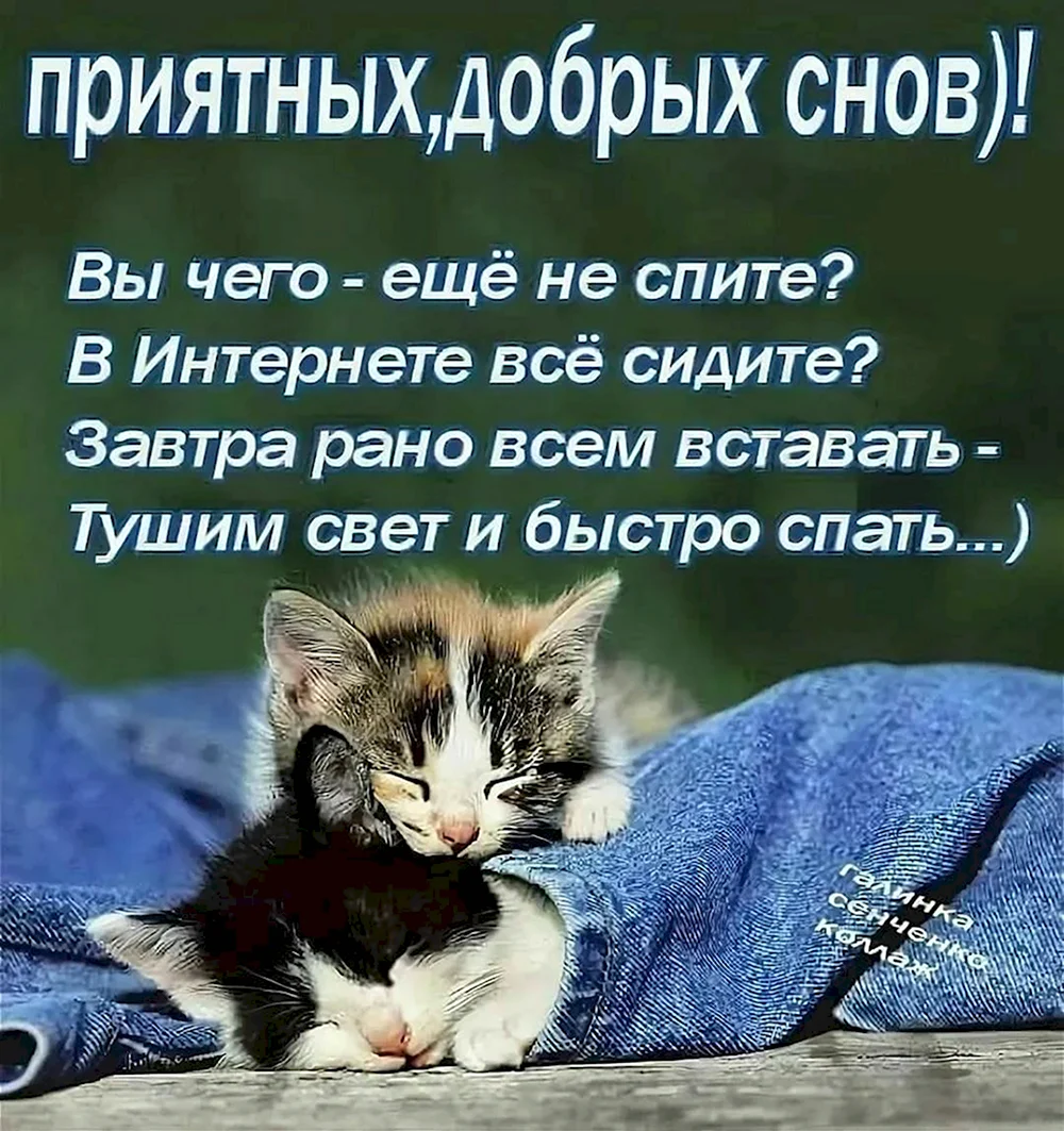 Спокойной ночи