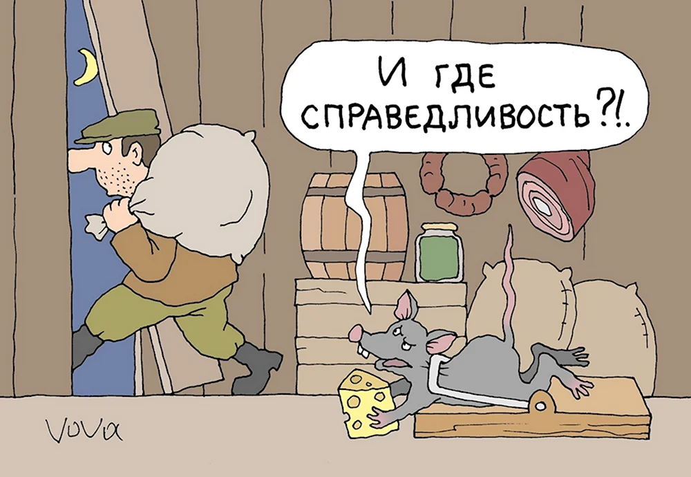 Справедливость карикатура