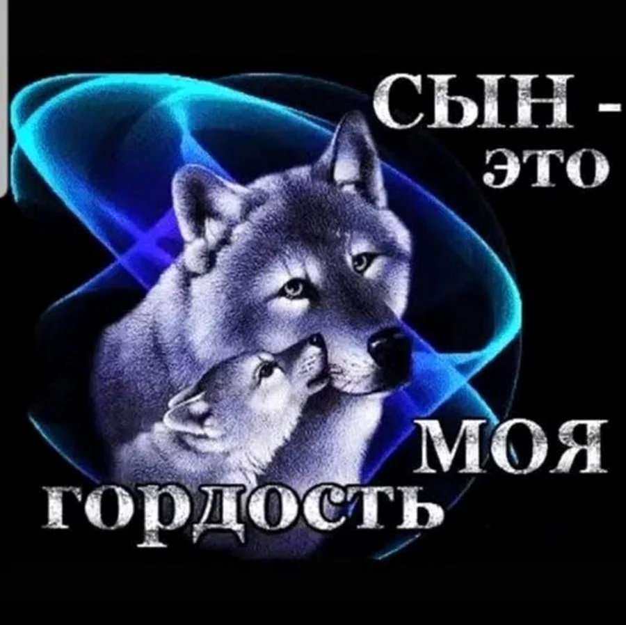 Сын моя гордость