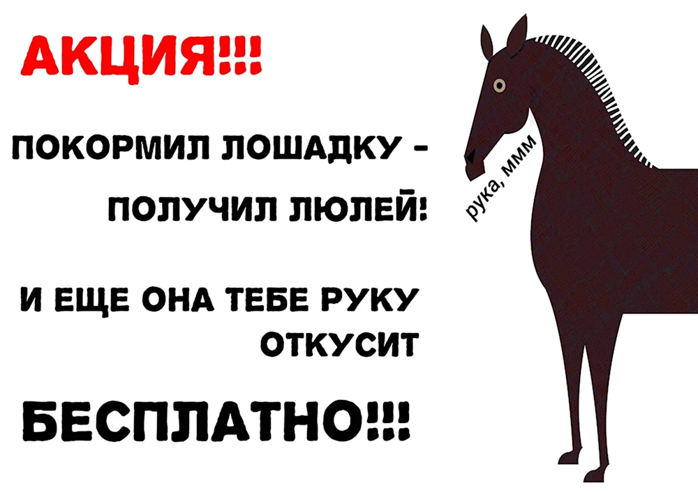 Табличка для лошади