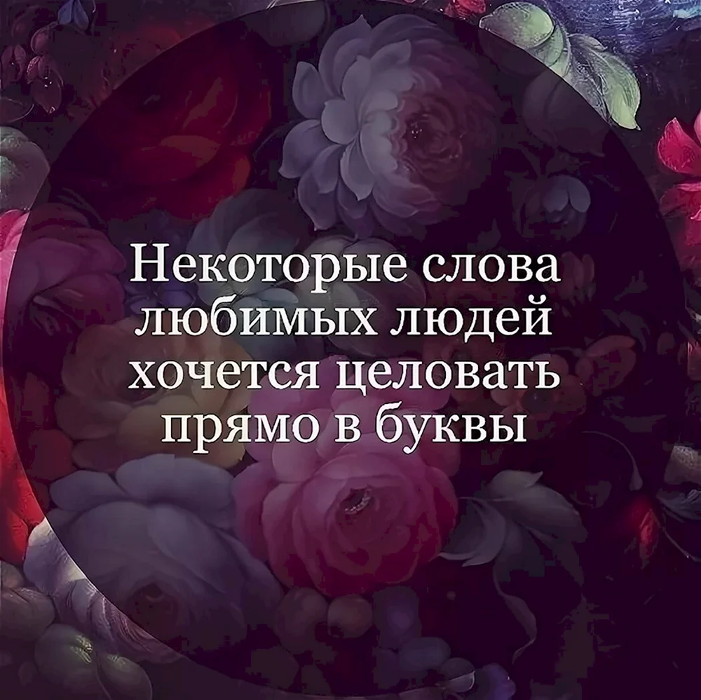 Цитаты