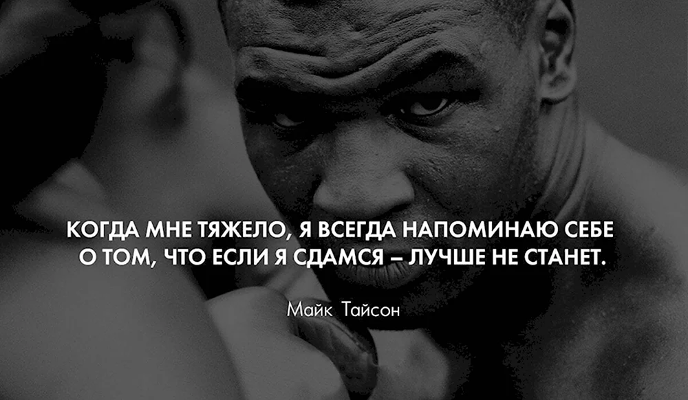 Цитаты майка Тайсона