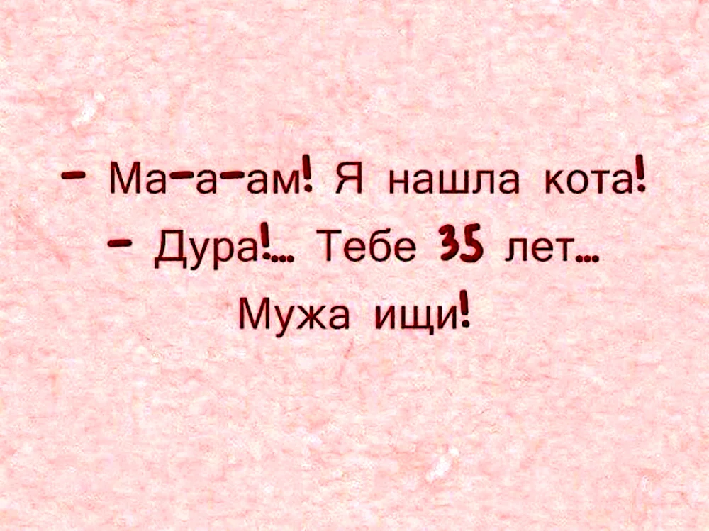 Цитаты про дурочек