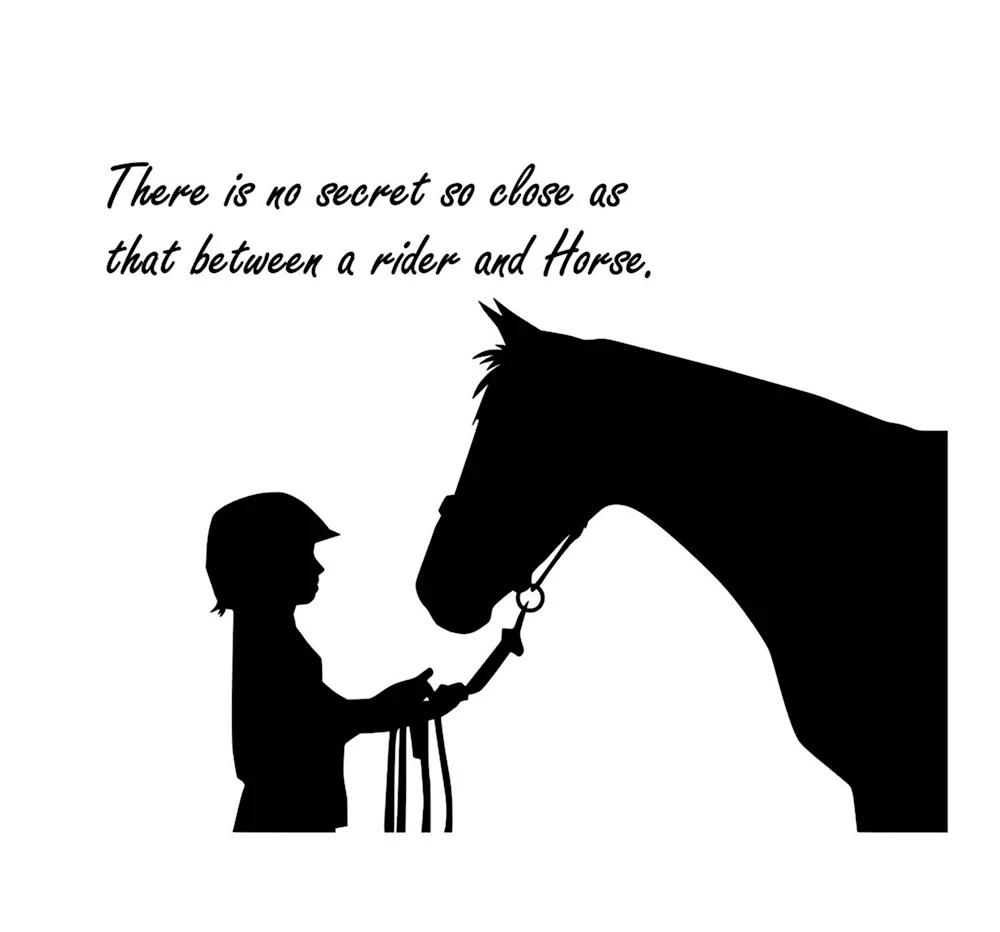 Цитаты про лошадей