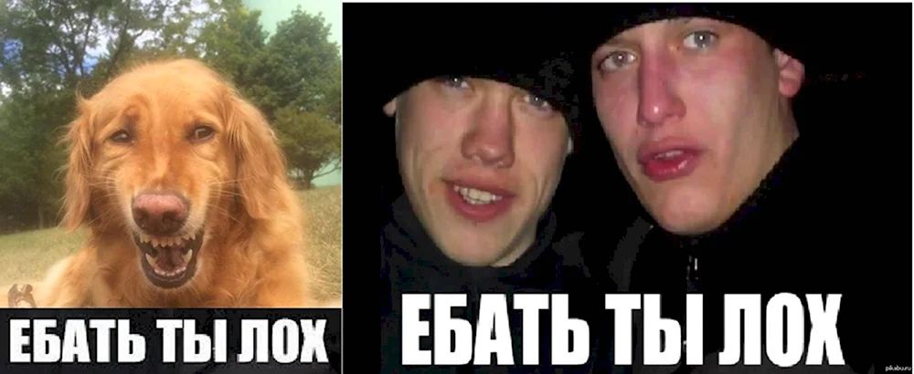 Ты лох Мем