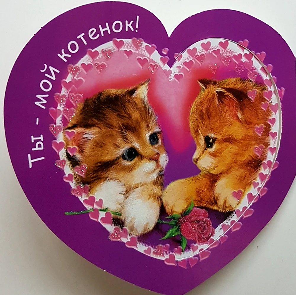 Ты мой котенок