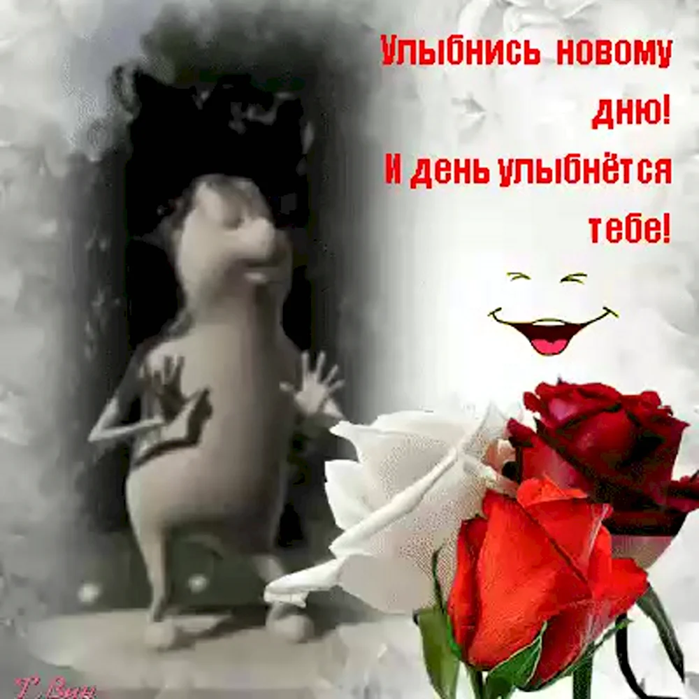 Улыбнись новому Дню