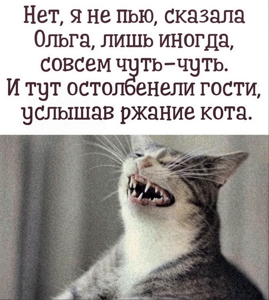 Услышав ржание кота